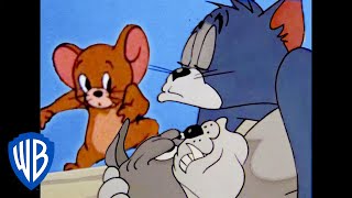 Episodio 9 — Tom y jerry - ¡vaya nochecita!