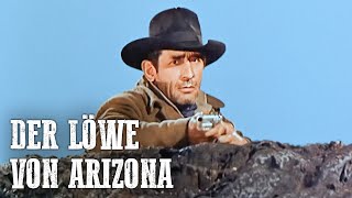 Der Löwe von Arizona