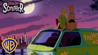 Lofi Scooby-Doo