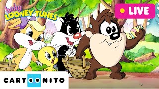 Baby Looney Tunes