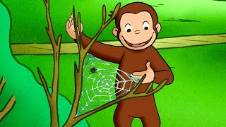 Curioso Come George: Grande ragnatela