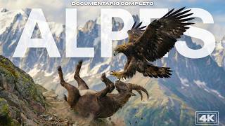 Alpes: Reino dos Predadores