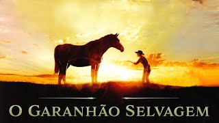 O Garanhão Selvagem