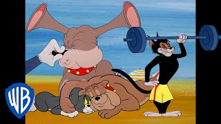 Tom und Jerry: Katzen gegen Hunde