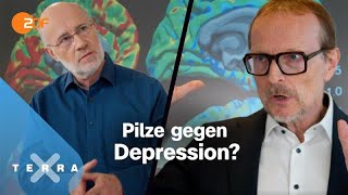 Heilung durch Psilocybin