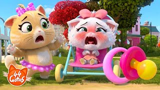 44 Gatos: Especial Cachorros