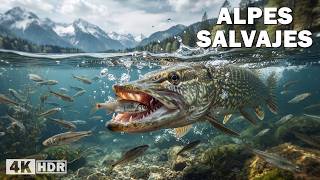 Alpes Salvajes: Lagos de Alta Montaña