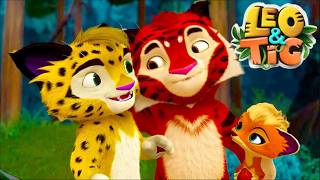 LEO Y TIG: Mejores Aventuras