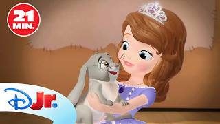 LA PRINCESA SOFÍA: Conejo de concurso
