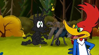 Pájaro Loco: Parrillada