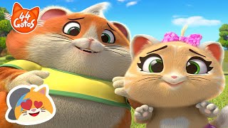 44 Gatos: Top 10 episodios