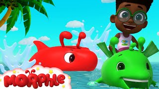 Morphle: Is a Shark