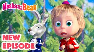 Masha and Bear: Tour de Forest