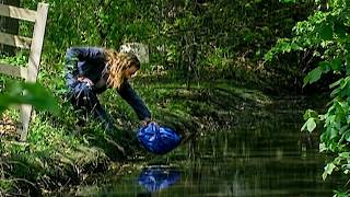 Ashes in River