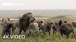 Nature's Deadliest Duels