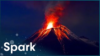 Animals Attracted to Volcanoes