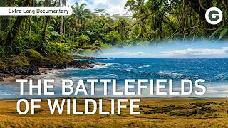 Deadliest Animal Weapons