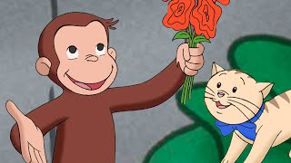 Curioso George: Allergia
