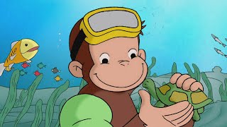 Curioso George: Sott'acqua