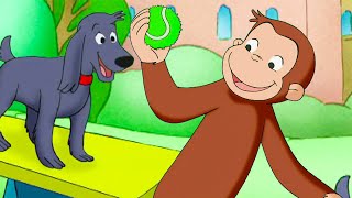 Curioso George: Cagnolino