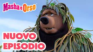 Masha e Orso: Nascondino nebbia