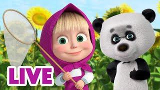 Masha e Orso: Vacanze estive