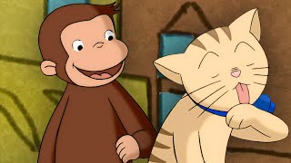Curioso George: Che Animale?
