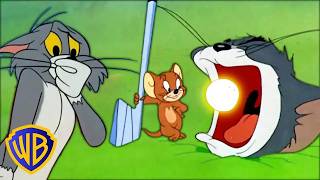 Tom & Jerry: Sfida Tiro