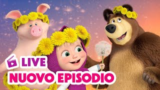 Masha e Orso: Nuovo episodio