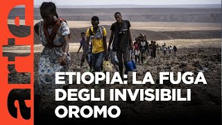 Yemen: Esodo degli Oromo d'Etiopia