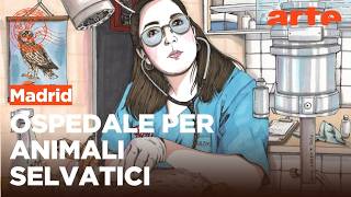 Madrid: ospedale animali selvatici