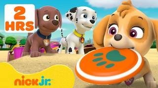 Patrulha Canina: Resgates na praia