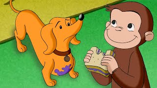 George, o Curioso: Hundley real
