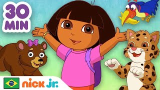 Dora: Resgatam Animais
