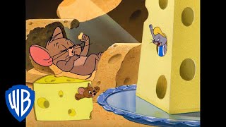 Tom & Jerry: Queijo