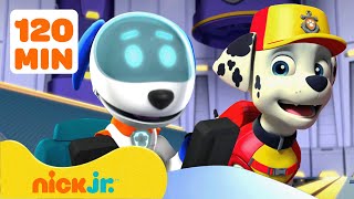 Patrulha Canina: Mega Robô