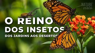 Reino dos insetos