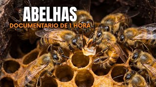 Abelhas: Engenheiros Geniais Natureza