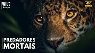 Amazônia: Predadores Mortais