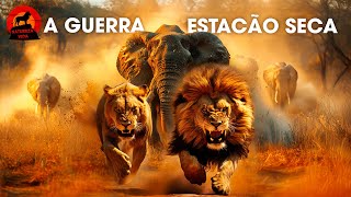 Savana Africana: Estação Seca