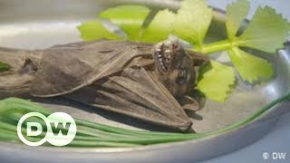 Curiosidades gastronômicas Europa