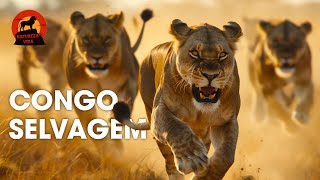 Congo Selvagem: Luta Floresta Virgem