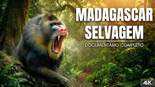 MADAGASCAR: Predadores Ocultos
