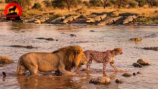 Coalizão Savanna: Preço do Pacto