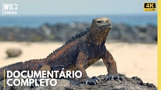 Galápagos: Desafios Mortais