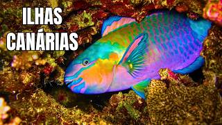 Ilhas Canárias: Arquipélago Vulcânico