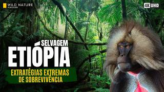 Etiópia: Sobrevivência Extrema