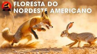 Floresta Nordeste Americano: Criaturas