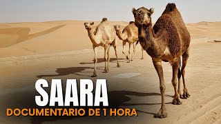 SAARA: Batalha Diária
