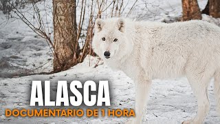 Alasca: Luta pela Vida